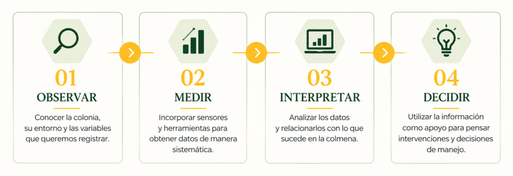 4 momentos colmena inteligente H