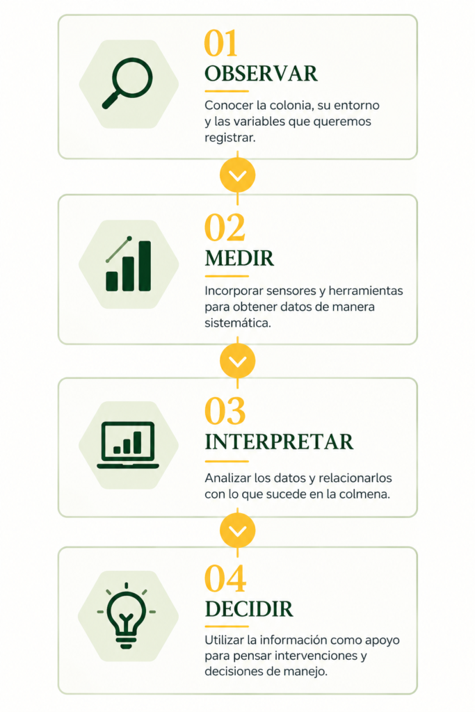 4 momentos precision vertical