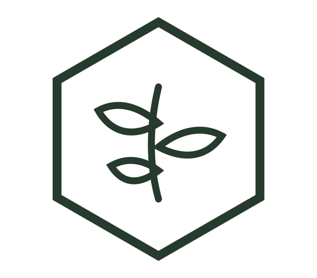 polinización verde